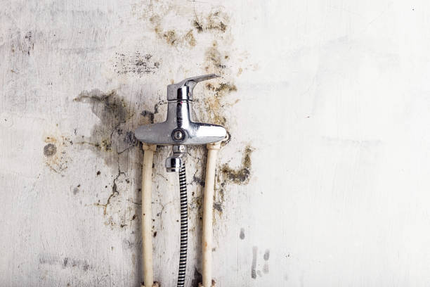 Best Mold Testing  in Loudonville, OH