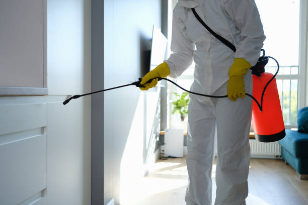 Best Mold Damage Repair  in Loudonville, OH
