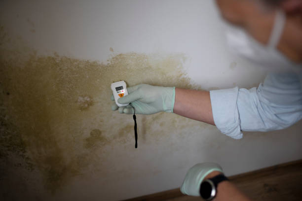 Best Crawl Space Mold Removal  in Loudonville, OH